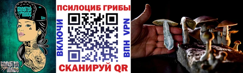 Галлюциногенные грибы Magic Shrooms Курганинск